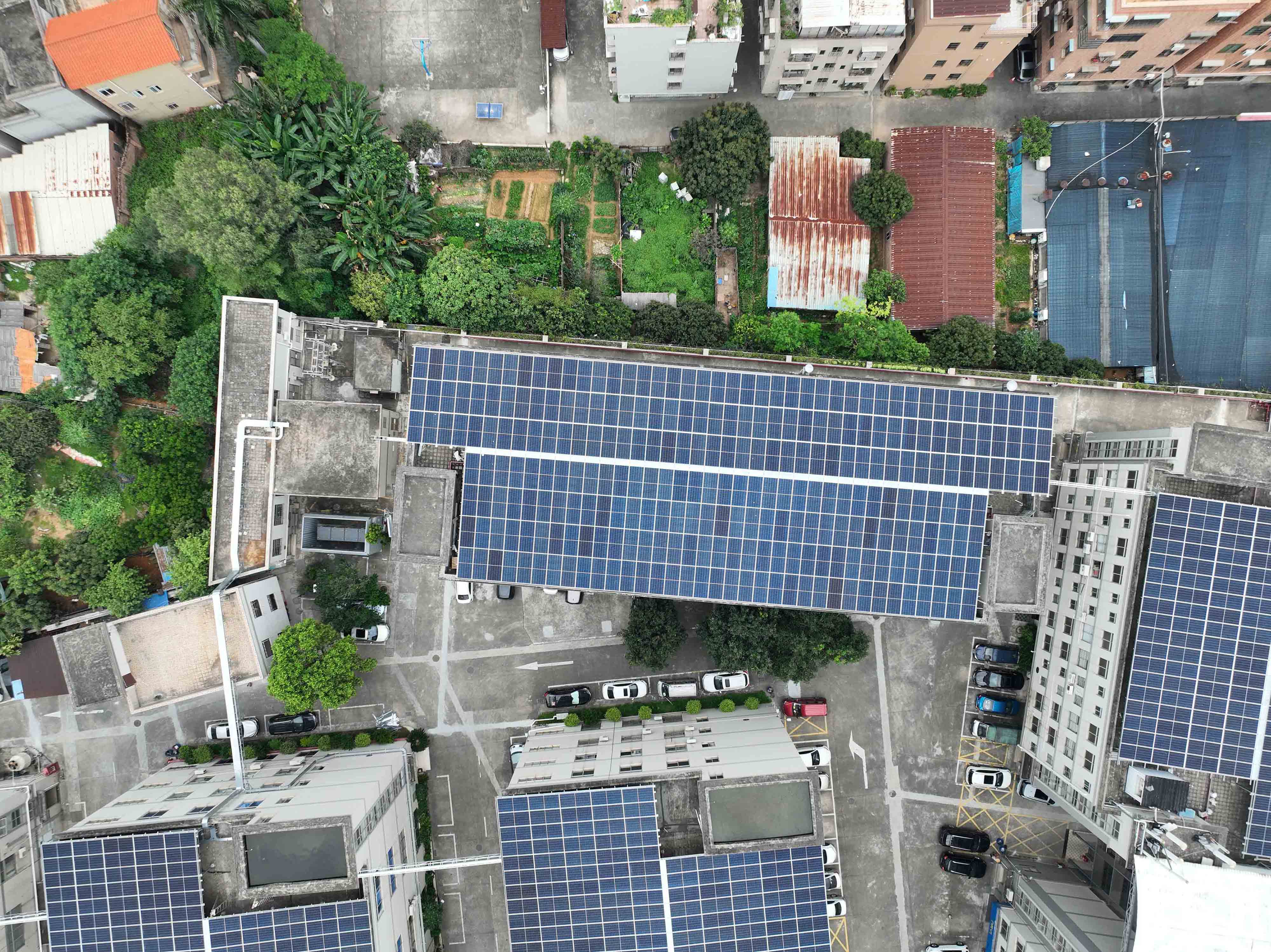 888�ڲ���-����Ϊ��,רҵЧ��